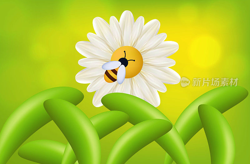 蜜蜂带着花在养蜂场采蜜。矢量三维插图。昆虫给花授粉。草地，有植物的田野，草地特写，环境。蜂采花粉，白花