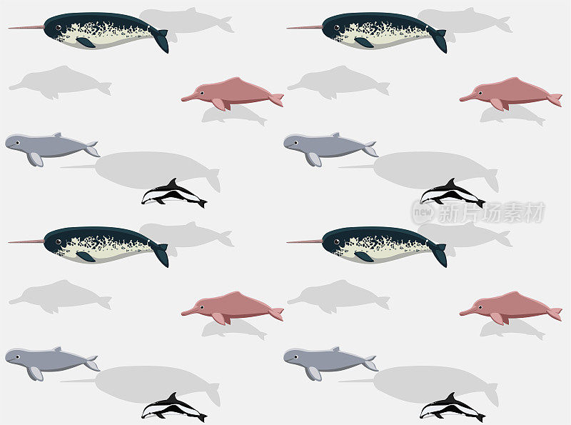 独角鲸河海豚沙漏伊洛瓦底可爱的卡通姿势无缝壁纸背景