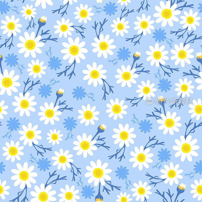 愚蠢的雏菊印花。雏菊花在蓝色无缝图案。