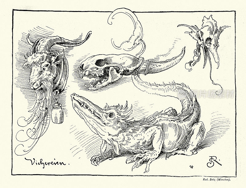 神秘的野兽和怪物，头骨，公山羊，新艺术风格，19世纪90年代