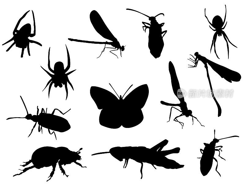 Silhouettes-Insects-1