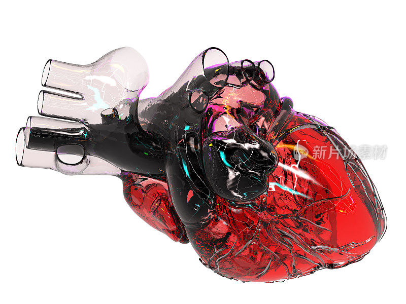 人工心脏模型