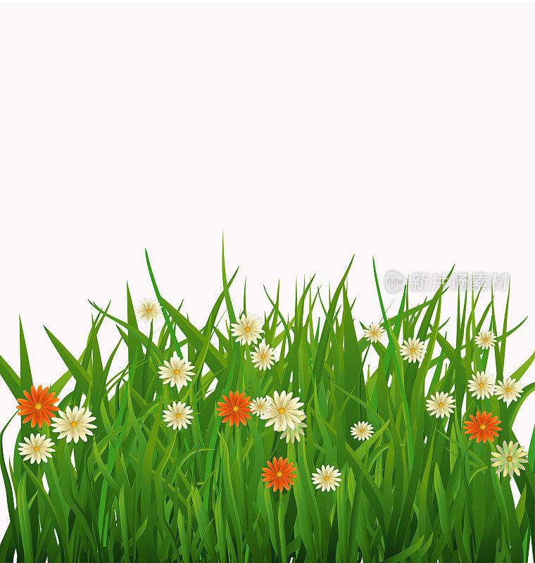 春天的花园-新鲜的草和花