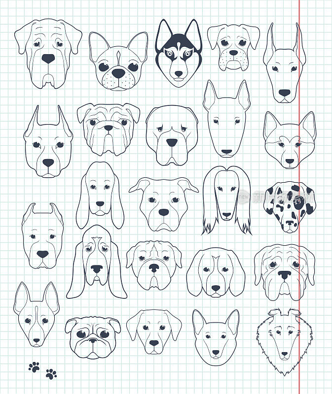 一套草图24狗不同品种手工制作。头狗