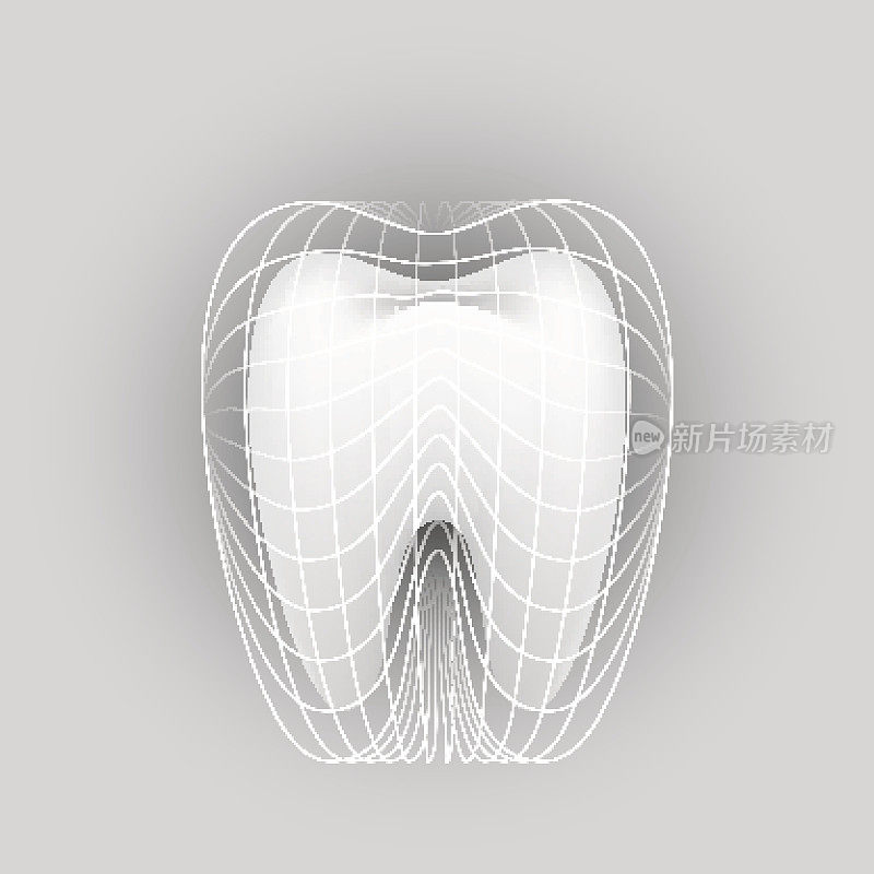 牙齿孤立在白色背景。