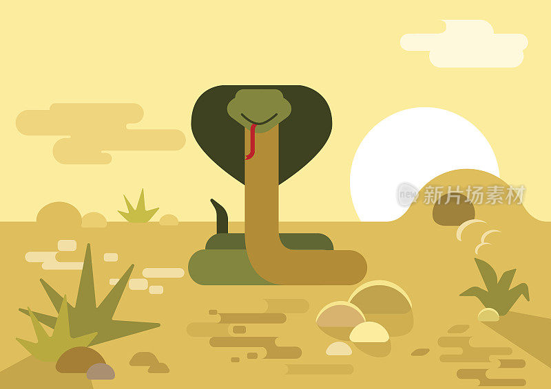 眼镜蛇蛇洞沙漠平面设计卡通矢量野生动物爬行动物。平动物园自然儿童收藏。