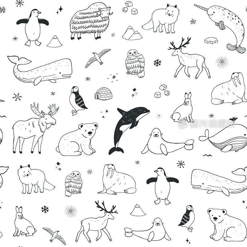 极地和南极的卡通动物图案无缝涂鸦