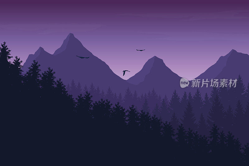 矢量插图的山区景观与森林下的紫色夜空与云彩和飞翔的鸟，与文字的空间