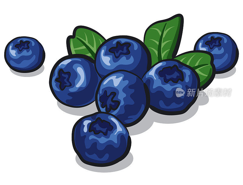 成熟的新鲜的蓝莓