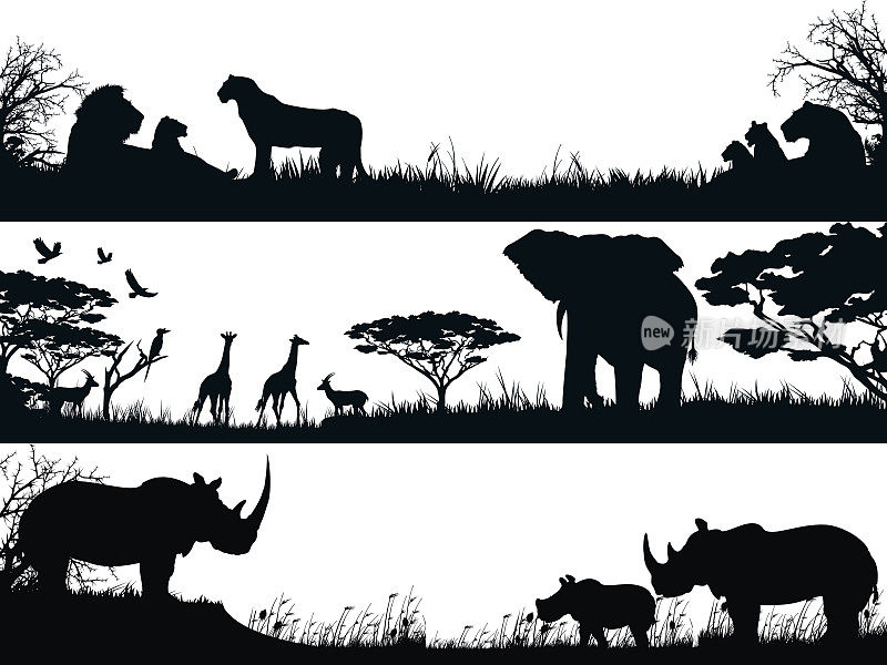 非洲野生动物在自然栖息地的剪影