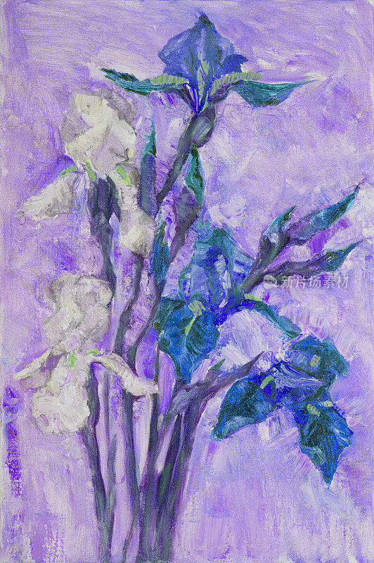 时尚的插图现代艺术作品寓言的花油画印象主义垂直的风景春天的傍晚明亮的蓝色和白色的鸢尾花长茎他们的蓓蕾在紫色的背景傍晚的天空