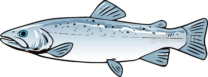 手绘矢量图的鱼孤立在白色的背景。