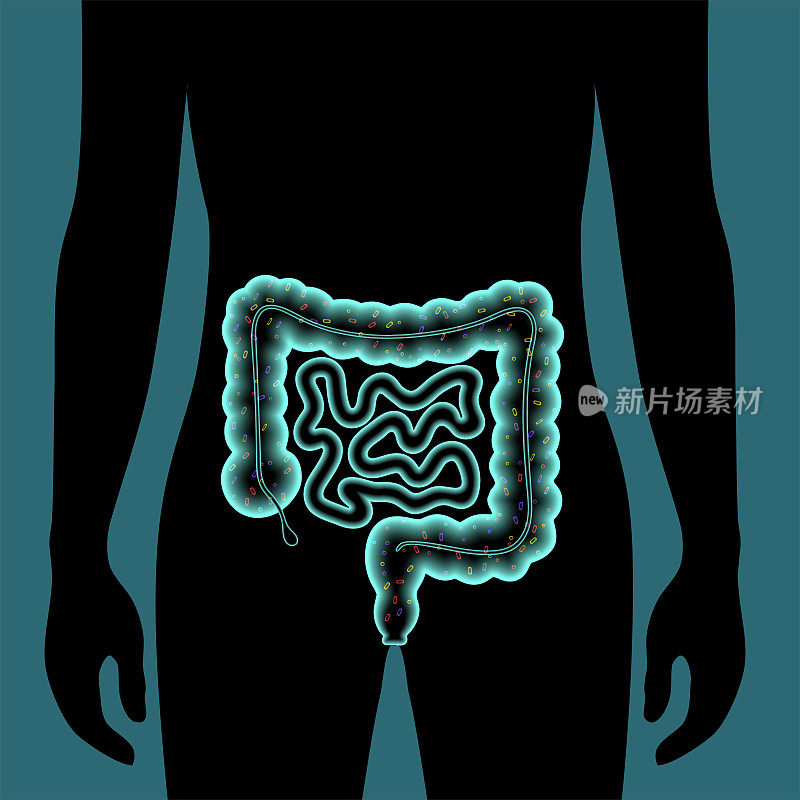 肠道微生物组的概念
