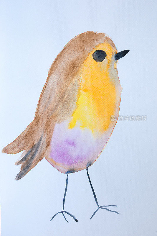 水彩斑斓的可爱小鸟独自站立。艺术刷动物创意墙纸上的白色背景