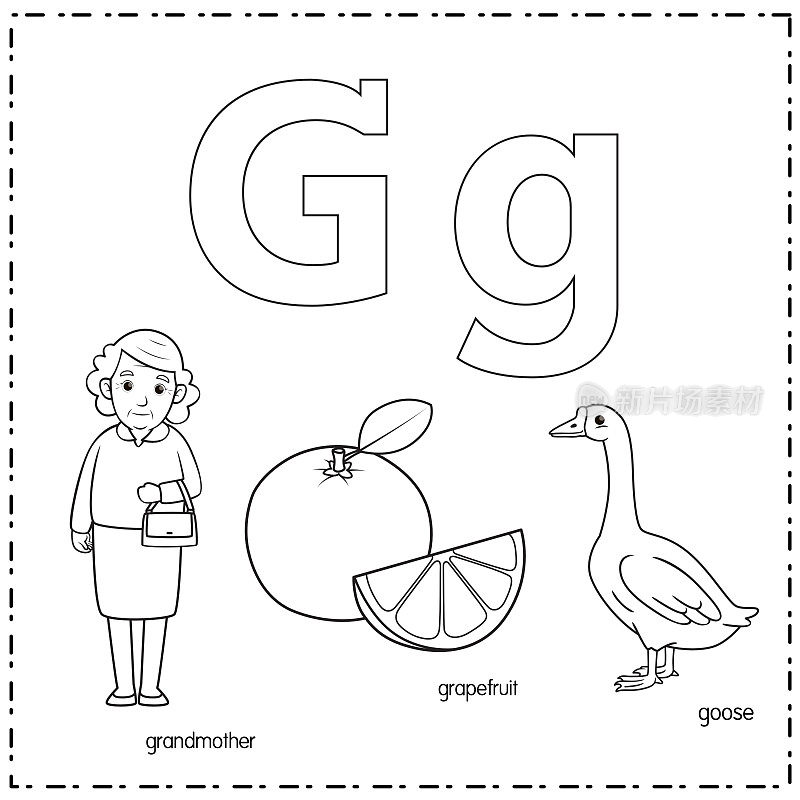 向量插图学习字母G的小写和大写的儿童与3卡通图像。祖母葡萄柚鹅。