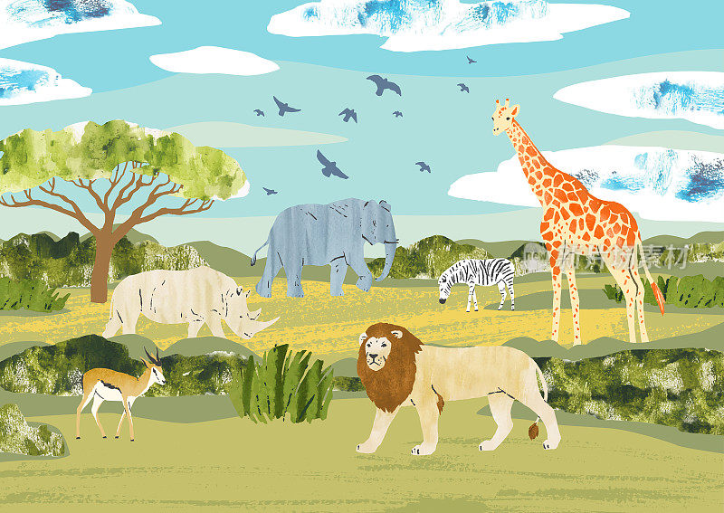非洲。热带草原上到处都是动物。自然手绘矢量插图与大象，瞪羚，犀牛，长颈鹿，斑马，狮子，鸟，树和灌木丛。