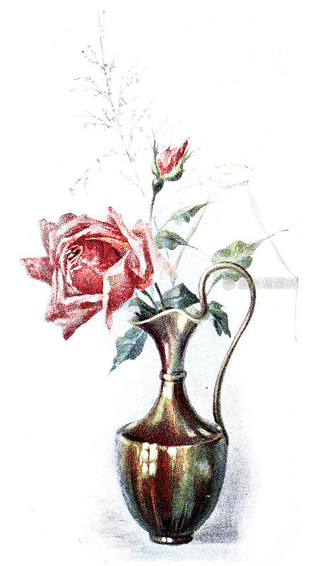 花的装饰，玫瑰在一个铜壶