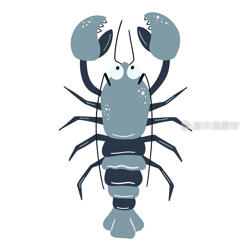 白色背景的海螯虾插图。矢量插图卡通平面风格
