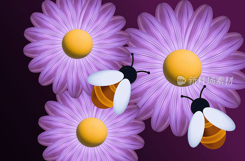 蜜蜂与花三维俯视图。昆虫为花园里、田野、草坪上的粉红非洲菊授粉。采集蜂蜜、花蜜的过程。蜂房里的蜜蜂，春天，紫色的花朵。矢量插图。