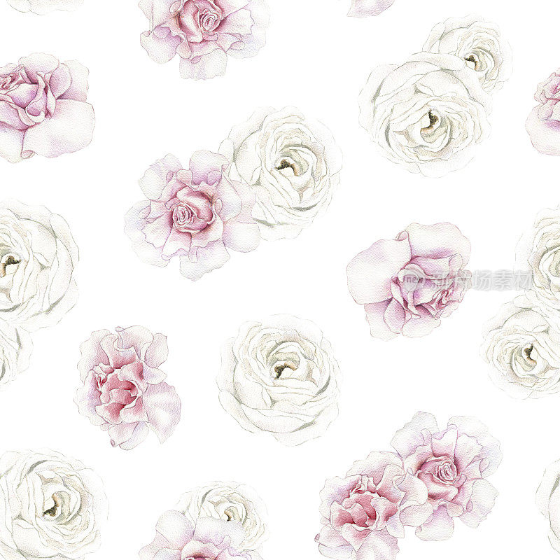水彩无缝碎花图案搭配花园粉色和白色的花朵，优雅的玫瑰绽放。适合墙纸，包装纸，织物，婚礼设计