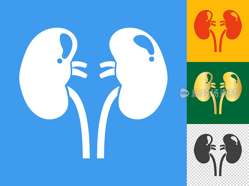 肾脏图标集。