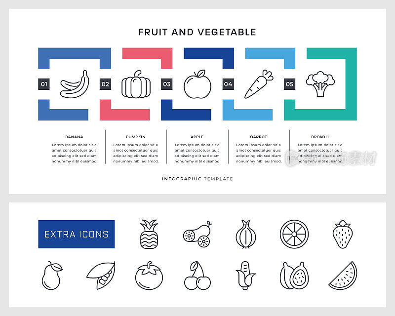 水果和蔬菜信息图表模板和线条图标