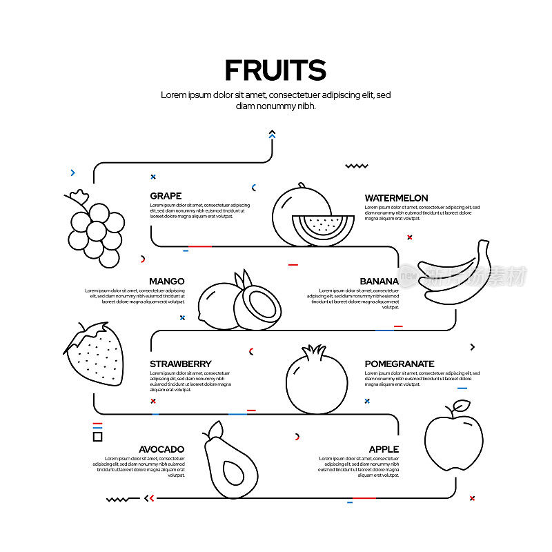 水果相关过程信息图设计，线性风格矢量插图