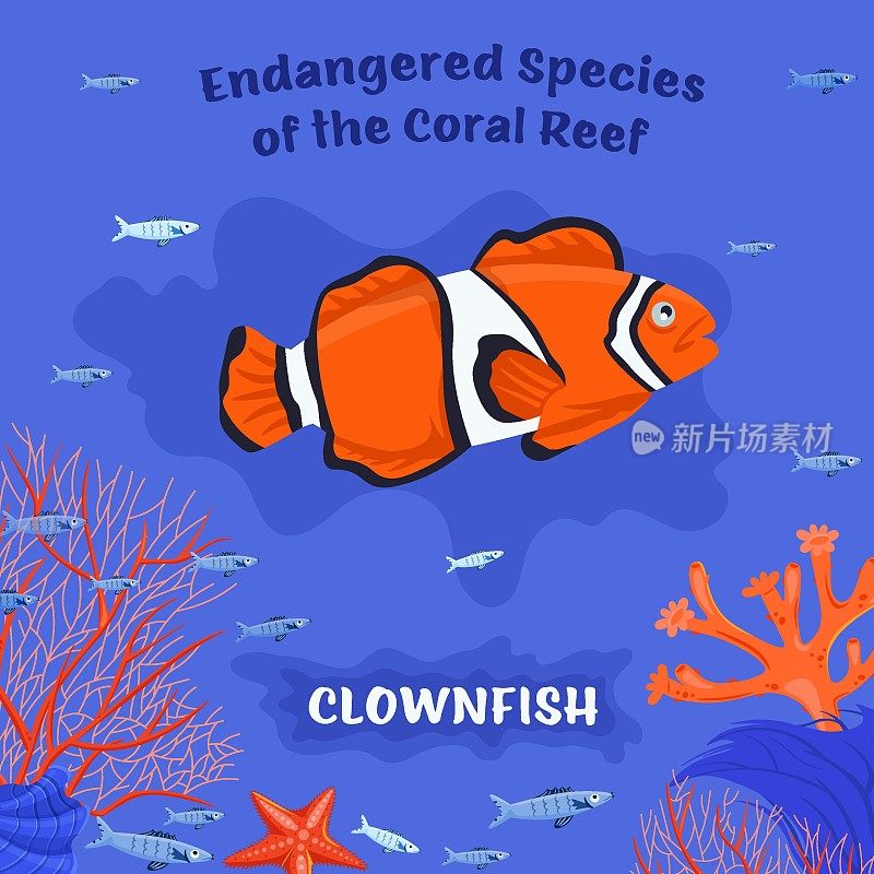 濒临灭绝的珊瑚礁鱼