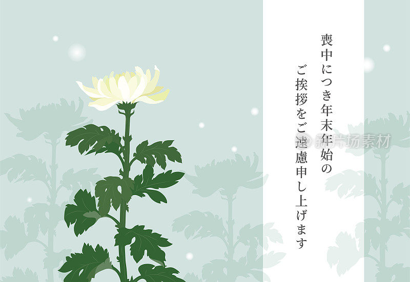 带有菊花插图的悼念明信片