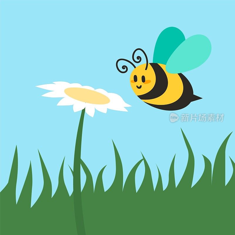 可爱的虫子。卡通蜜蜂飞向花朵。夏天的本性。昆虫授粉洋甘菊。草地上的草和花。黄色条纹的大黄蜂。蜜蜂飞行。矢量图