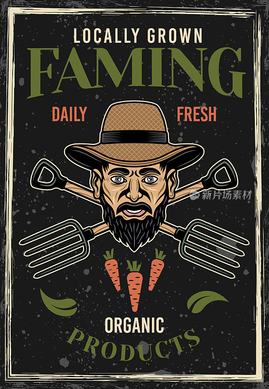 农场老式彩色海报农民头在草帽和交叉叉子。矢量插图与垃圾纹理和文字在单独的层