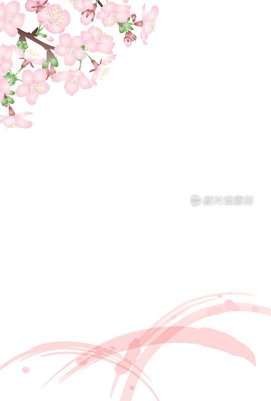 日式矢量插图的三维层次樱花和粉红色笔触在白色背景。竖版明信片大小。