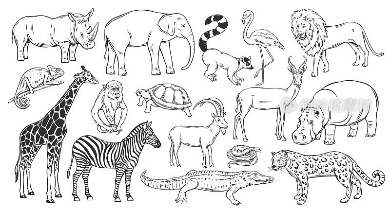 非洲动物轮廓图标集