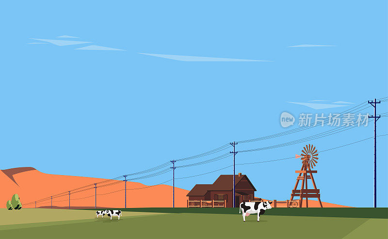 田园诗般的农场场景。田野里的荷斯坦牛和老风车