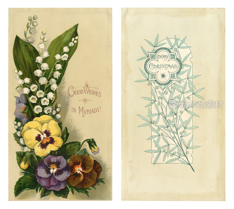 双面维多利亚圣诞卡片，三色堇和铃兰，1881年