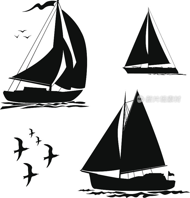 游艇、帆船和海鸥集