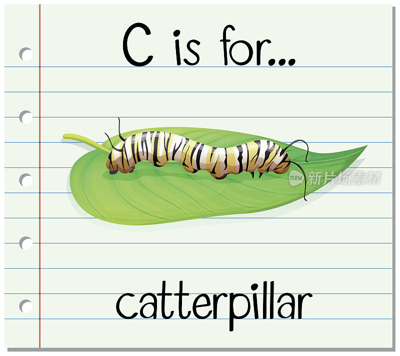 抽认卡字母C代表毛毛虫