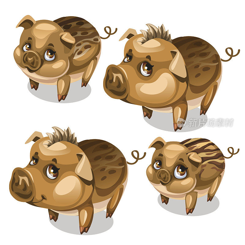 向量组可爱的猪与棕色眼睛孤立
