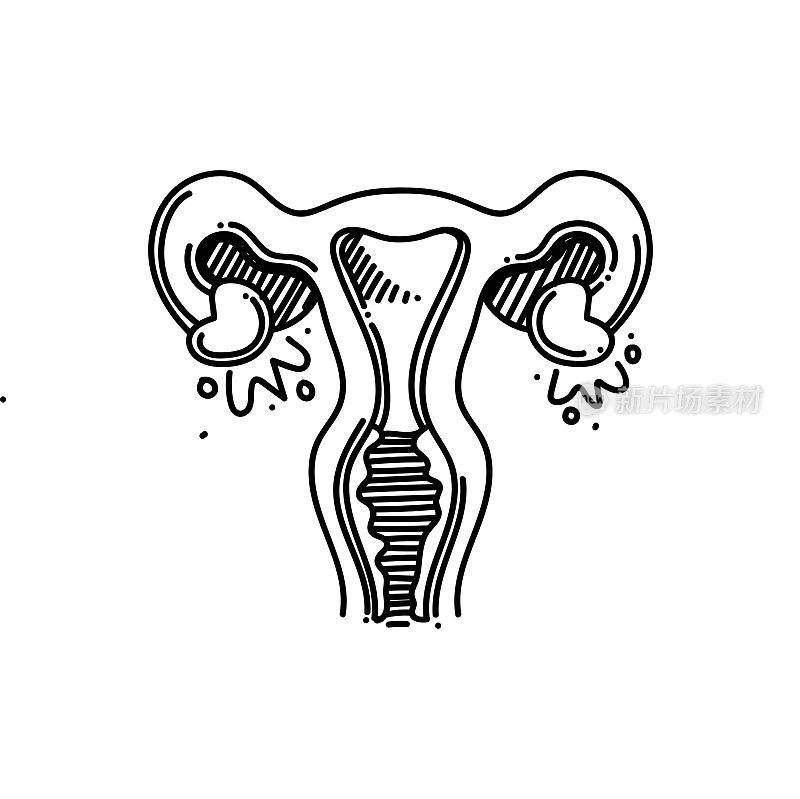 子宫线图标，草图设计，像素完美，可编辑的笔触。标志、标志、符号。人体器官。