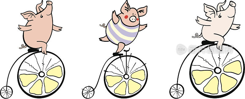 骑自行车的猪