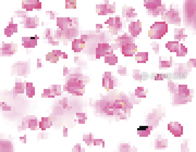 粉红色的樱花花瓣背景。白色的背景上有很多落花。春天向量模板