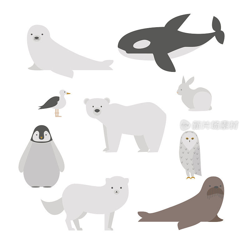 北极动物组