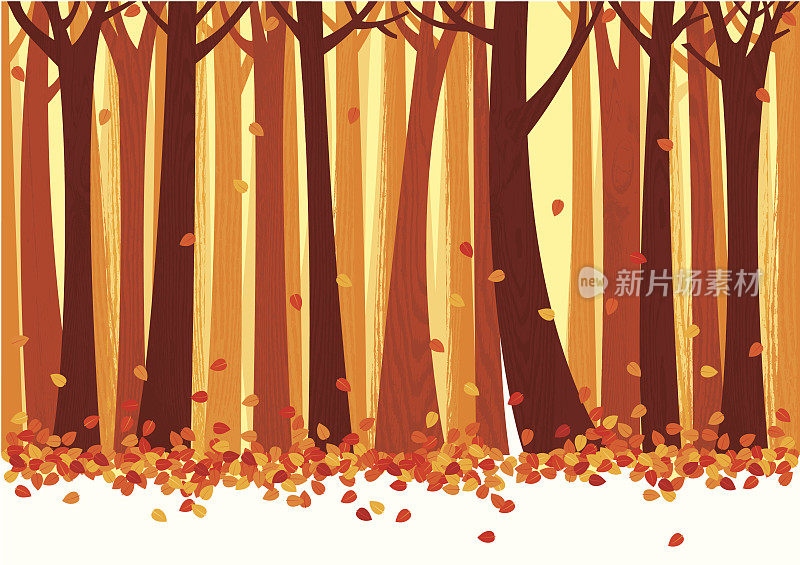 秋天的树木和树叶的背景