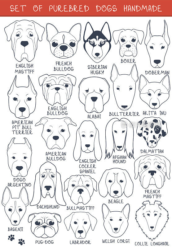 24条不同品种的狗手工制作。头狗