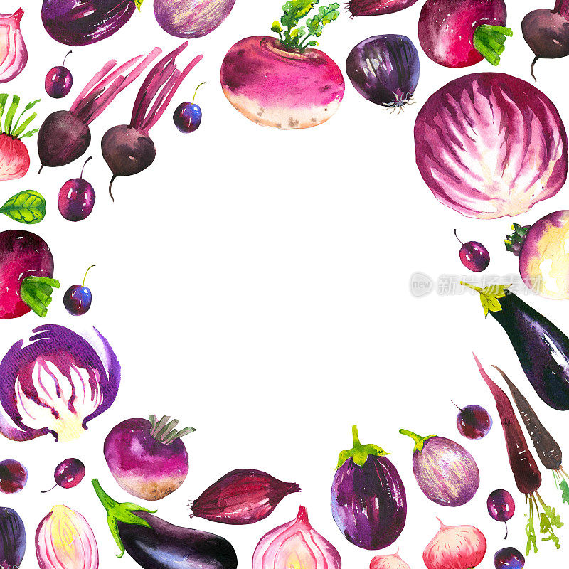 水彩插图与圆形组成的农场插图。配套蔬菜:卷心菜，茄子，萝卜，萝卜，胡萝卜，洋葱。新鲜的有机食品。紫罗兰色的