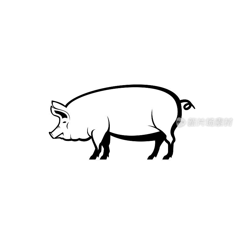 矢量猪剪影视图侧面的复古图标，标志，徽章，标签模板复古设计元素。在白色背景上隔离