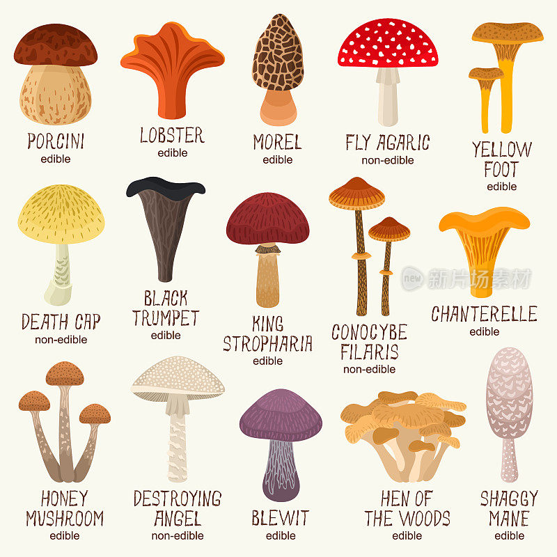 蘑菇的图标