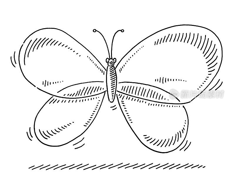 卡通蝴蝶透明的翅膀画