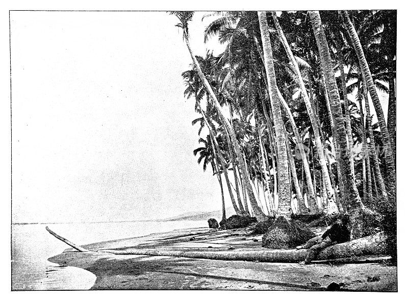 在萨摩亚乌波卢的椰子海滩上