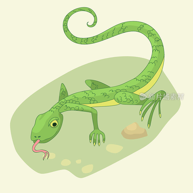 蜥蜴，一种绿色的小型爬行动物，是一种常见的蜥蜴。矢量动物卡通插图。